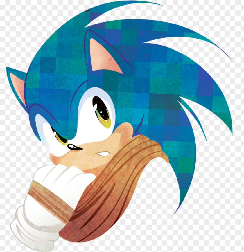 Sonic The Hedgehog Rouge Bat Drive-In Sega PNG