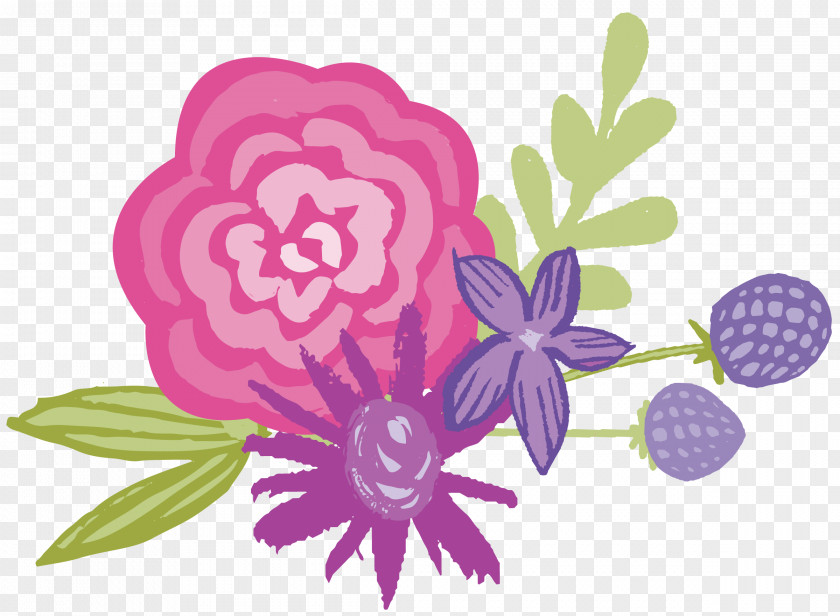 Blossom Floral Design Illustration Rose Family PNG