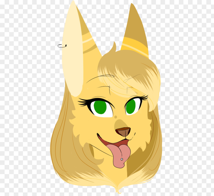 Cat Whiskers Snout Dog PNG