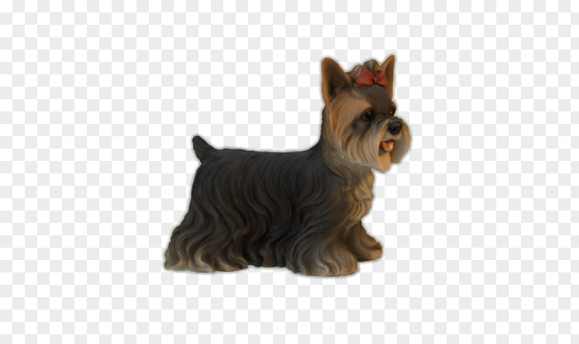 El Yorkshire Terrier Scottish Cairn Australian Silky Norwich PNG