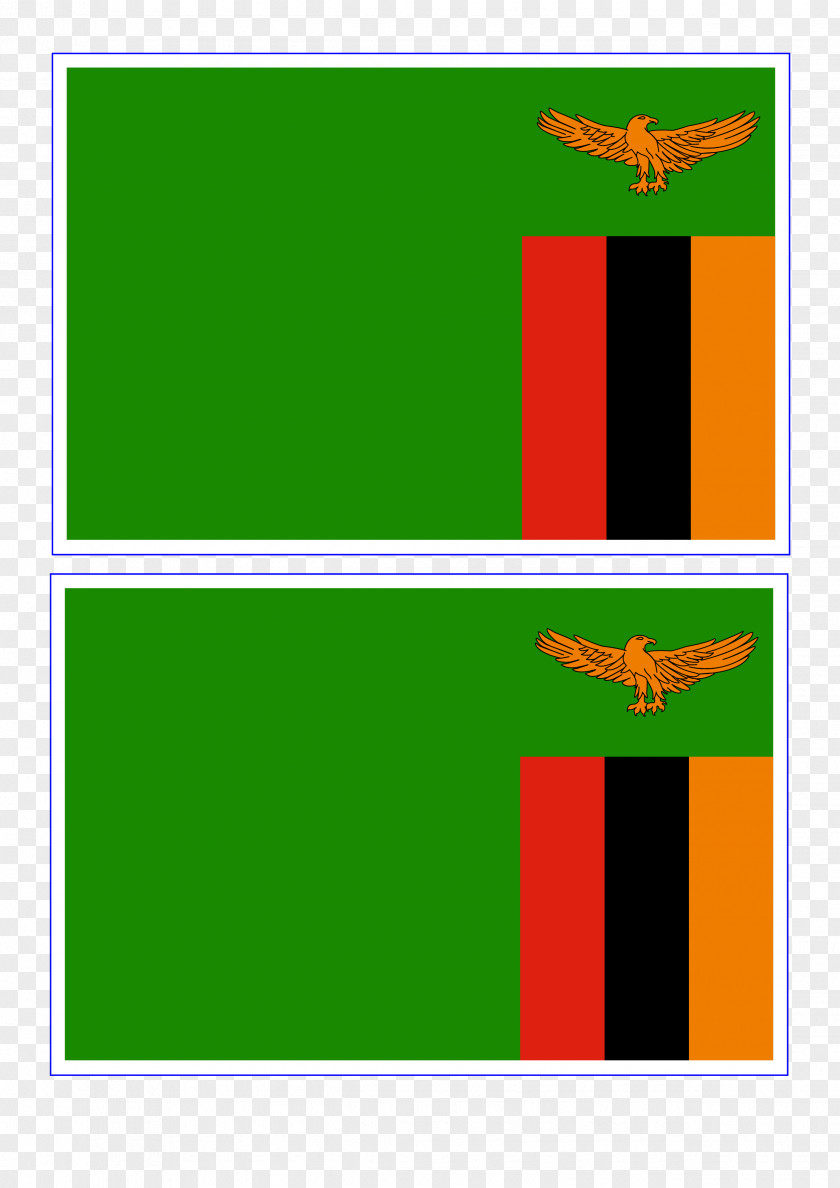 Flag Of Zambia Nigeria Flags The World PNG