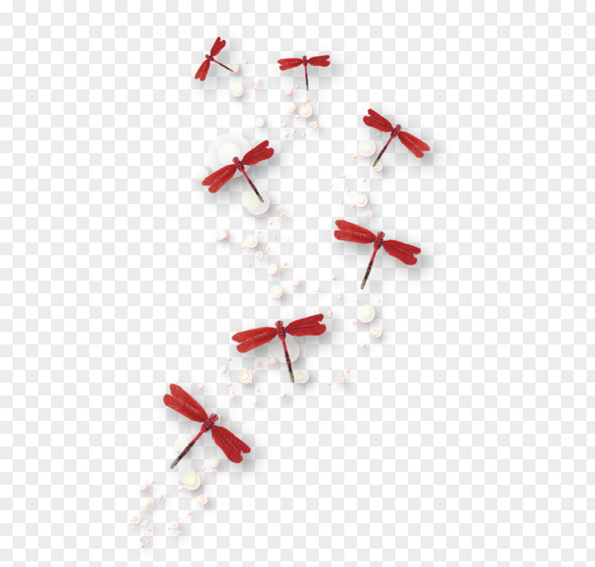 Floating Dragonfly Clip Art PNG