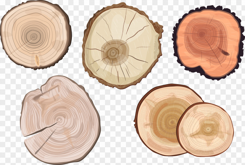 Hand-painted Wood Pile Tree Trunk Aastarxf5ngad Euclidean Vector PNG