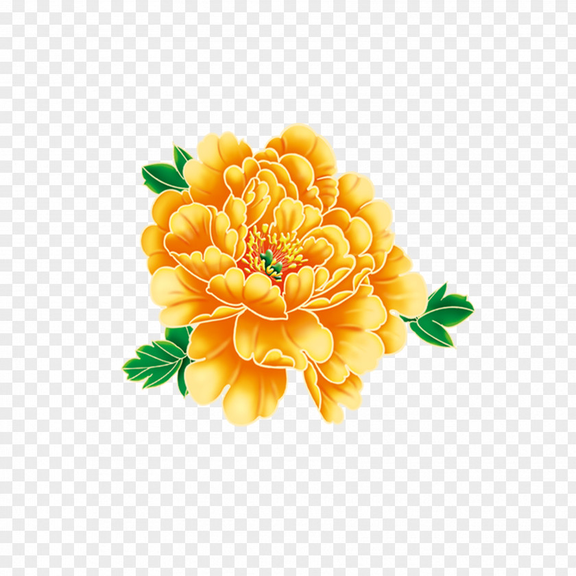 Peony Flower PNG