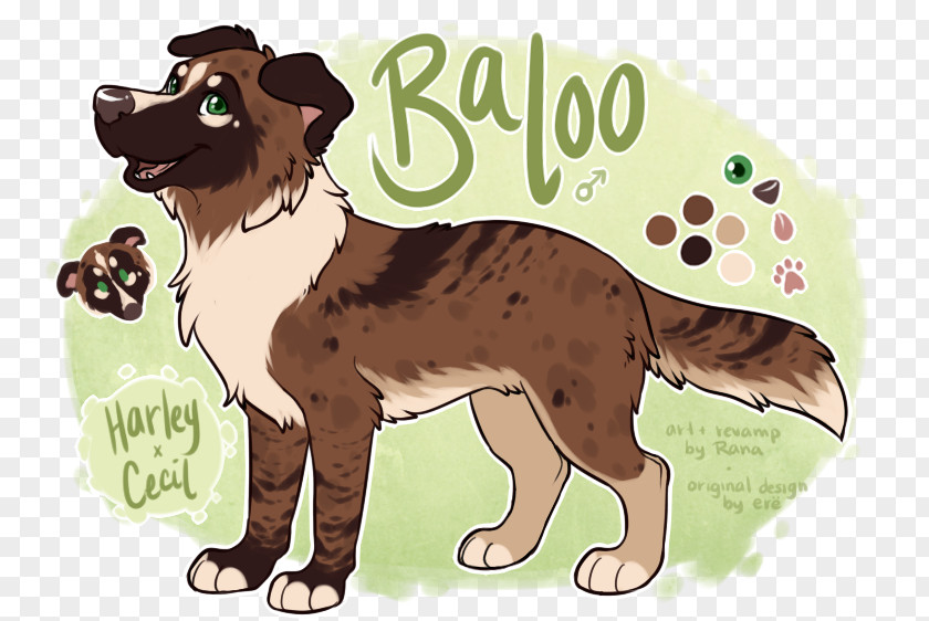 Puppy Dog Breed Australian Shepherd German Drawing PNG