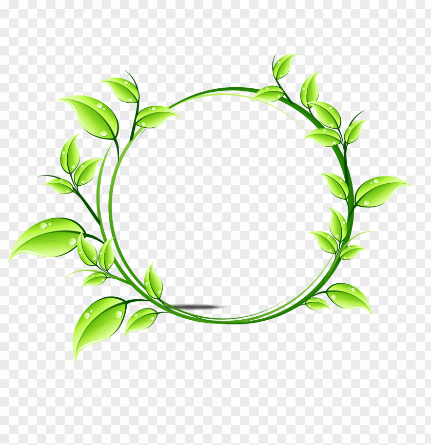 Simple Green Straw Ring Capsule Tablet PNG
