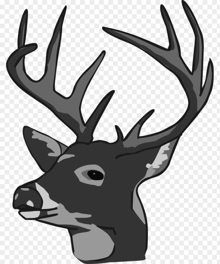 Doe Head Cliparts White-tailed Deer Reindeer Elk Clip Art PNG