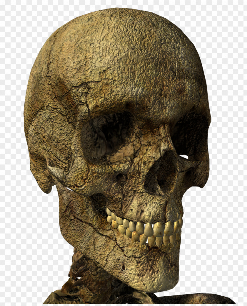Gothic Skull Skeleton Clip Art PNG