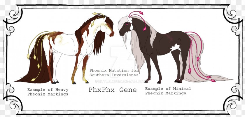 Mutation Chromosomal Inversion Point Genetics Genetic Testing PNG