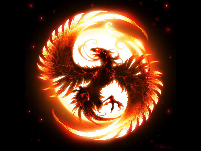 Phoenix Fire Bird Legendary Creature Flame PNG