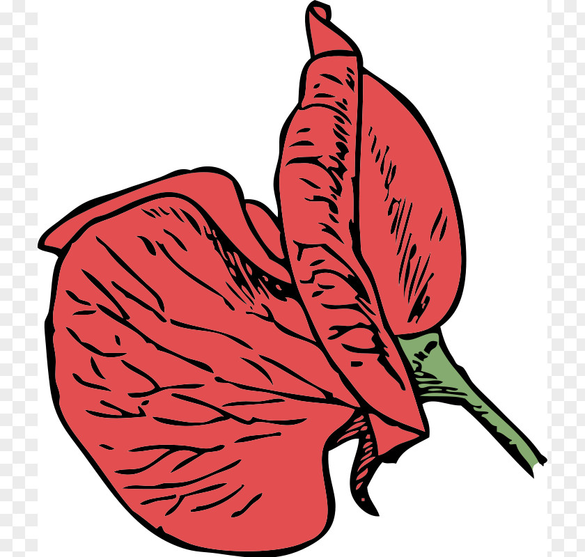 Red Flower Clip Sweet Pea Art PNG