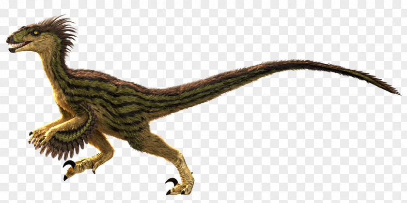 Bearded Dragon Velociraptor Primal Carnage: Extinction Tyrannosaurus Rage PNG