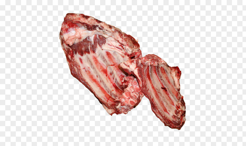 Beef Skeleton Capocollo Meat PNG