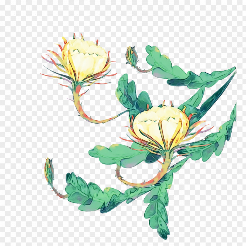 Floral Design PNG