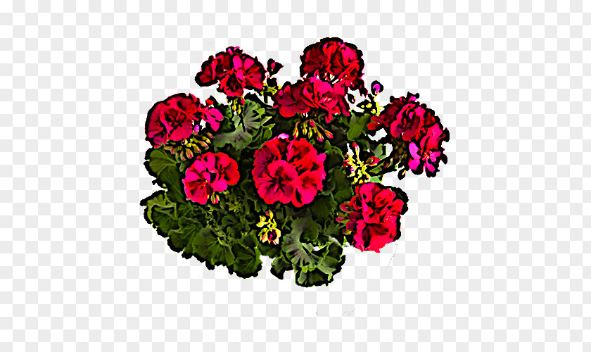 Flower Plant Pink Petal Annual PNG