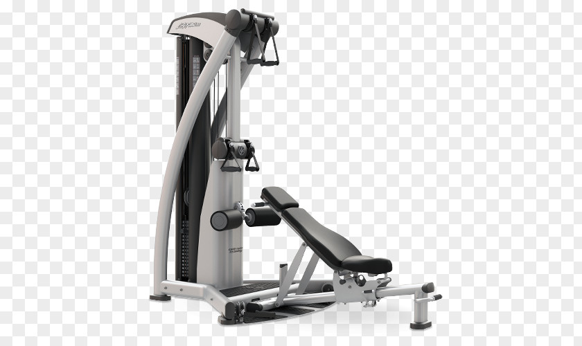 Gym Fitness Centre Life Exercise Equipment Physical PNG