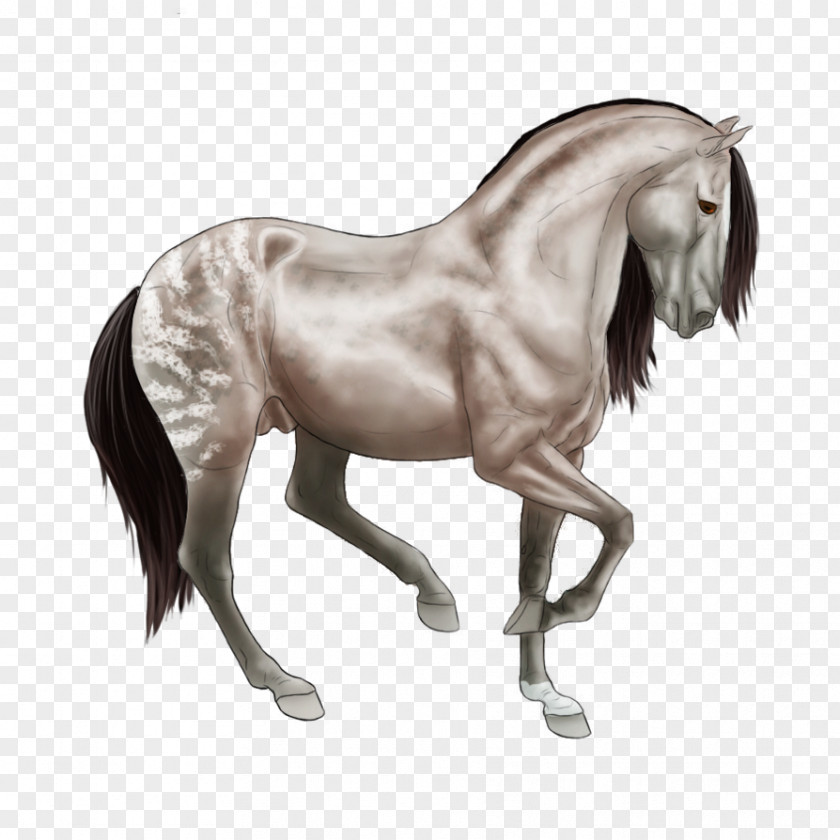 Mustang Mare Stallion Halter Rein PNG
