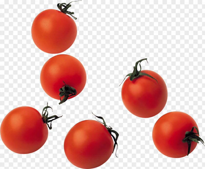 Tomato Image Juice Mediterranean Cuisine Vegetable PNG