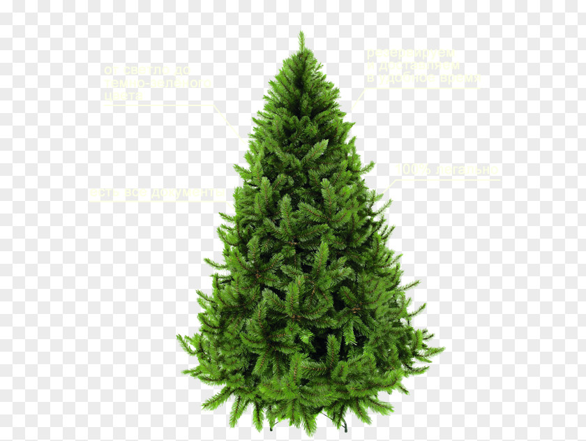 Copywriter Background Graphics Artificial Christmas Tree Pre-lit PNG