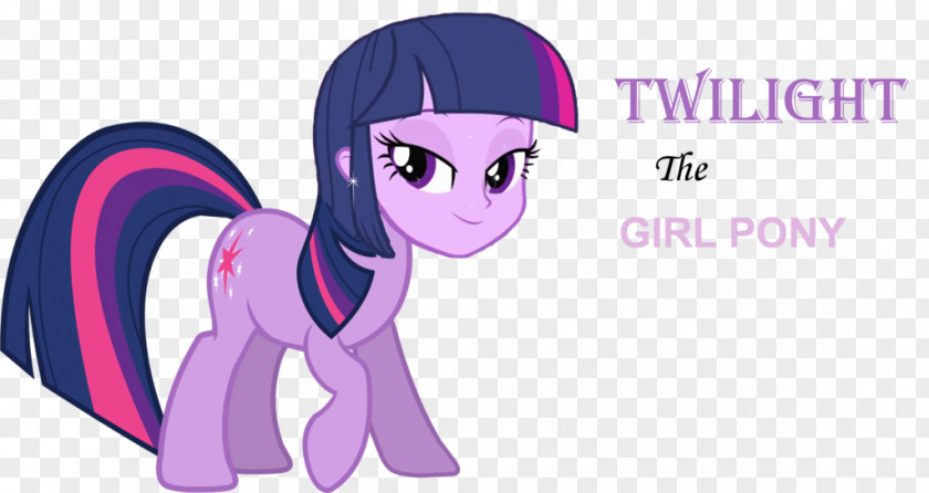 Human Twilight Sparkle Pony Pinkie Pie Winged Unicorn Applejack PNG