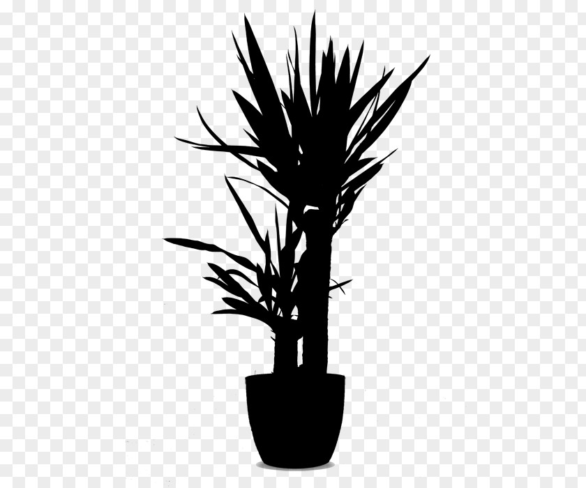 Palm Trees Flower Plant Stem Grasses Silhouette PNG