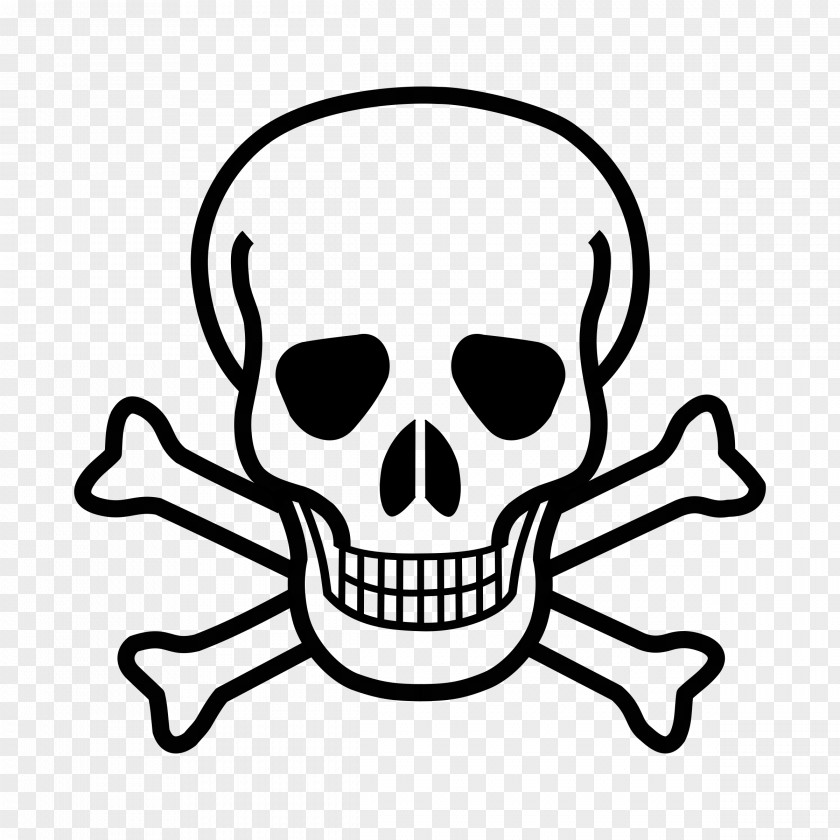 Skull And Bones Crossbones Human Symbolism PNG