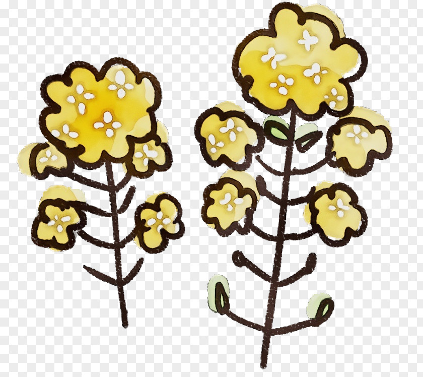 Yellow Plant Flower Cut Flowers PNG