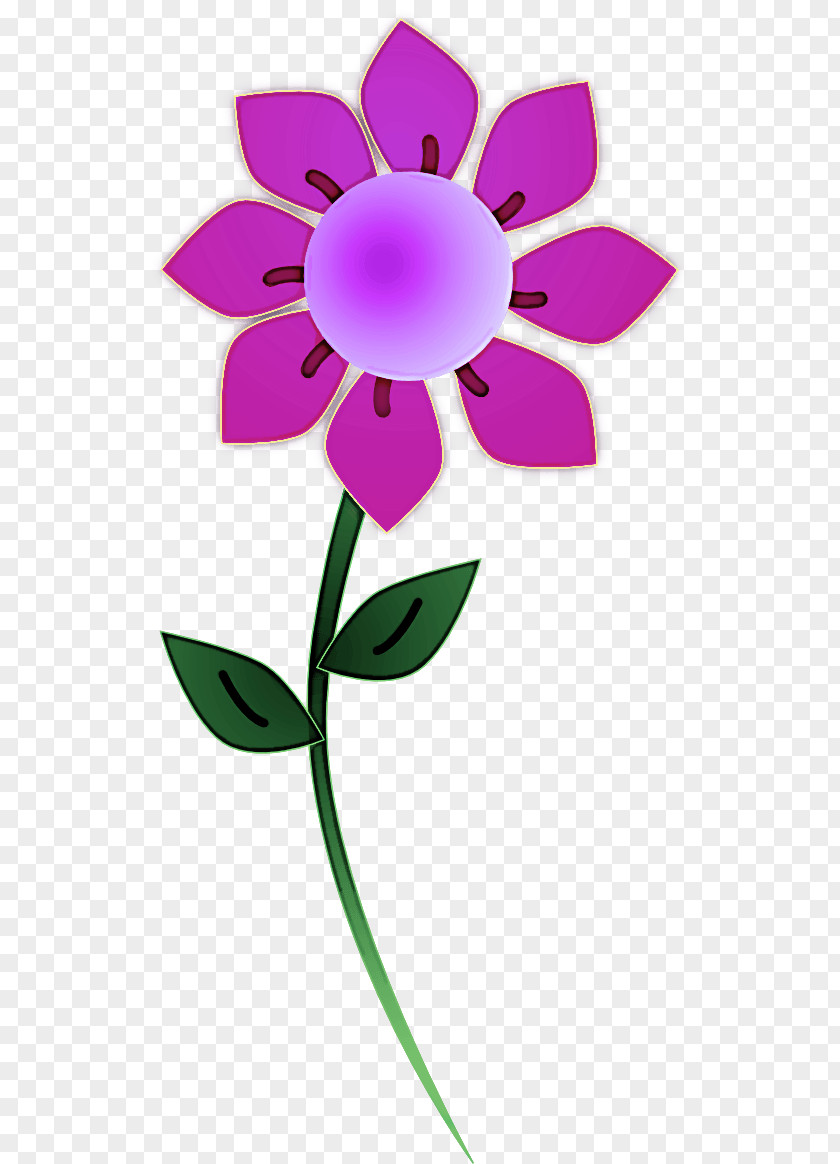 Flowering Plant Pedicel Flower Petal Violet Pink Purple PNG
