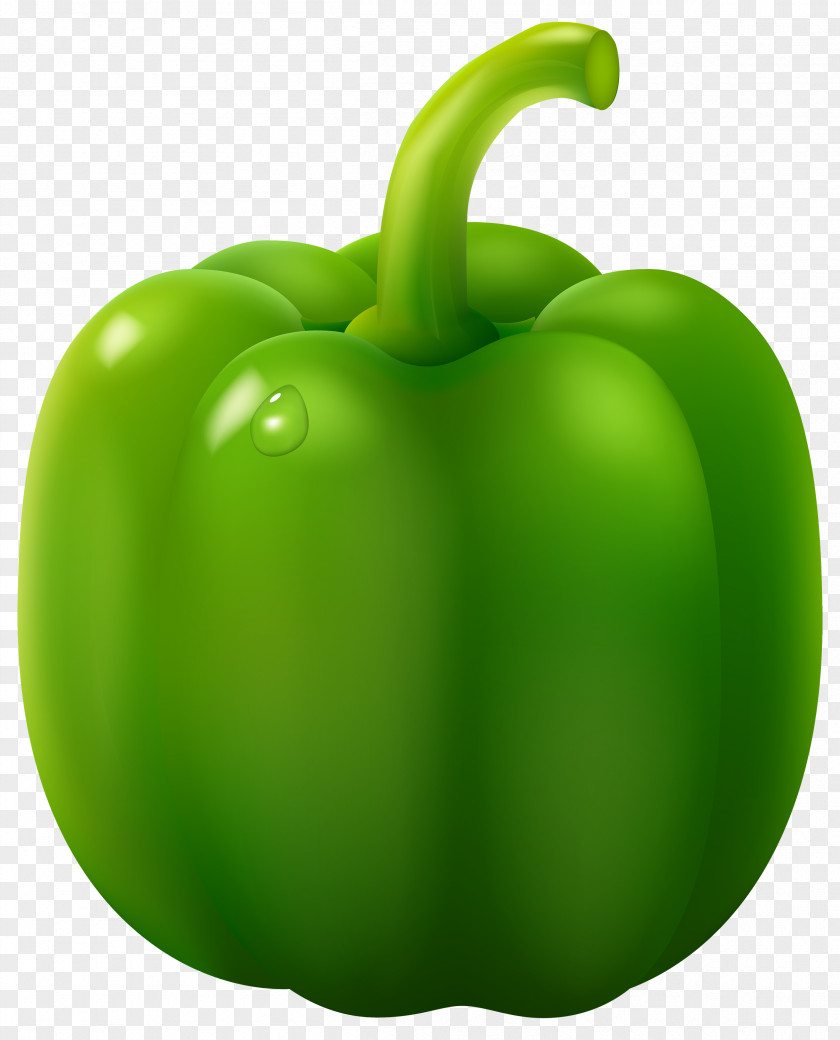 Green Pepper Cliparts Chili Con Carne Bell Capsicum Clip Art PNG