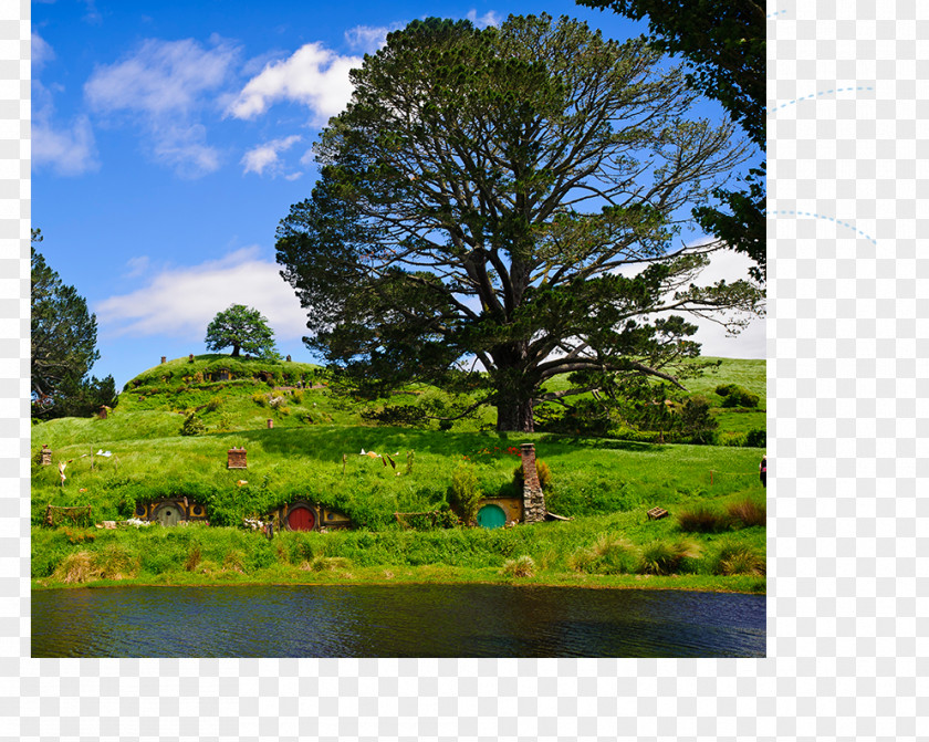 Hotel Hobbiton Movie Set Waitomo Caves Rotorua Auckland PNG