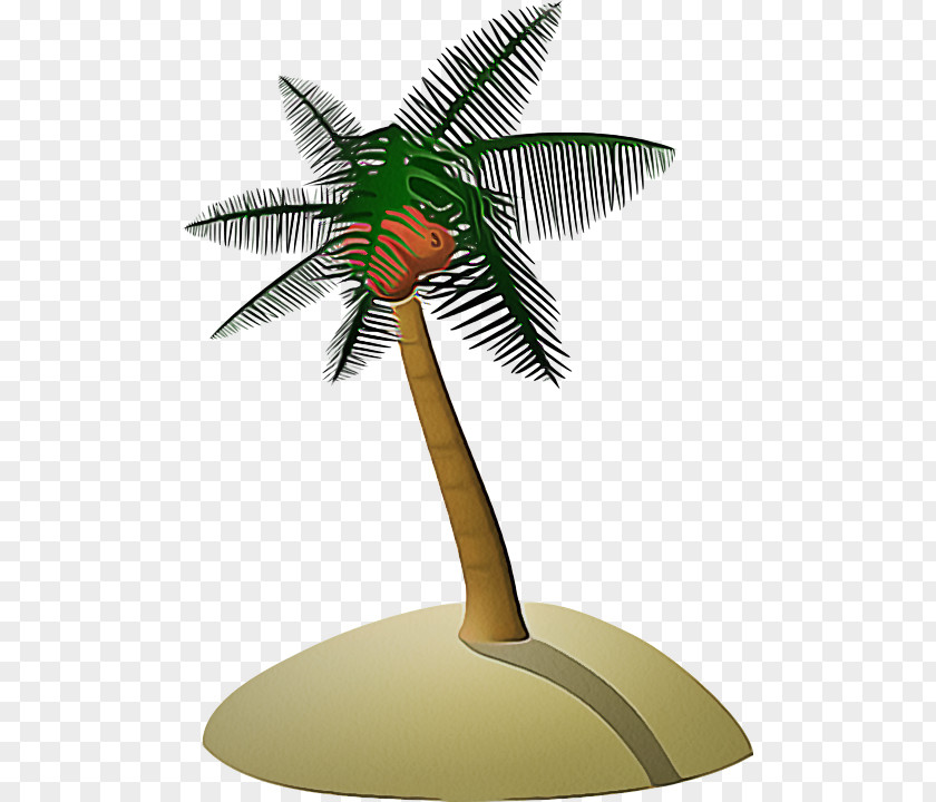 Leaf Woody Plant Coconut Tree Cartoon PNG