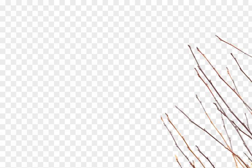 Line Art Grasses Meter Font PNG