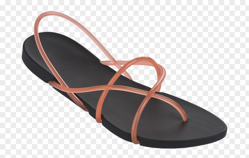 Sandal Ipanema Flip-flops Designer PNG