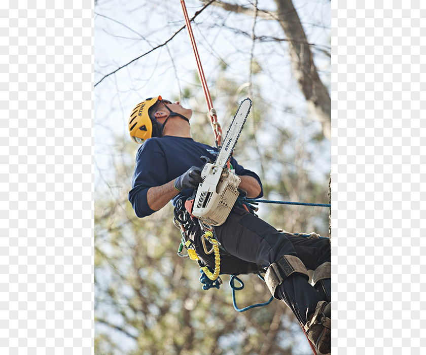 Saw Chain Climbing Harnesses Belay & Rappel Devices Belaying Tree Safety Harness PNG