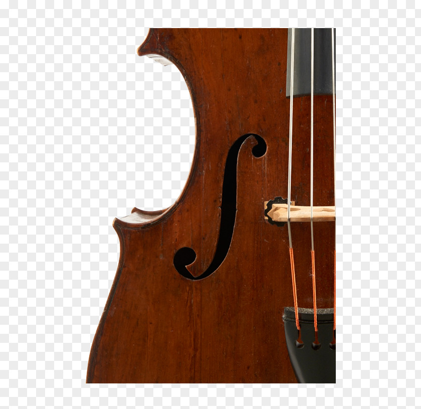 Bass Guitar Violin Double Violone Viola PNG