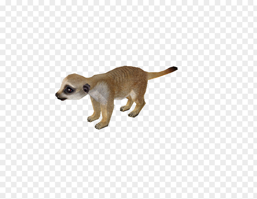 Cat Terrestrial Animal Tail Wildlife PNG