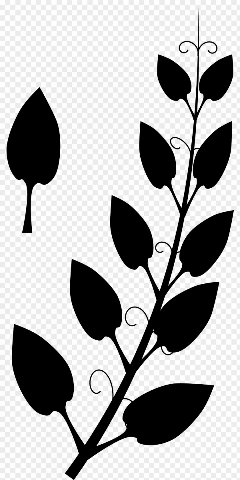 Clip Art Silhouette Plant Stem Line Black PNG
