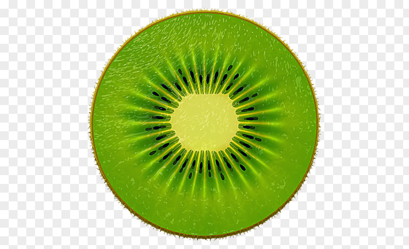 Cute Kiwi Fruit Clip Art Vector Graphics Stock Illustration Kiwifruit PNG