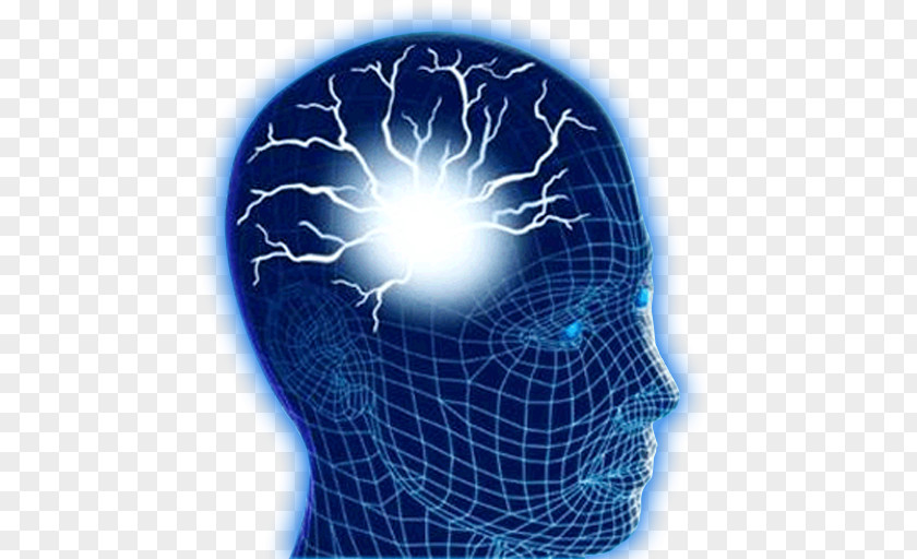 Half-conscious Brain Test Psychology Disease Neurology PNG