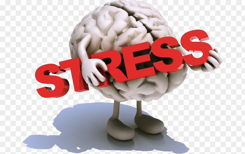 Health Psychological Stress Management Symptom Anxiety Chronic PNG