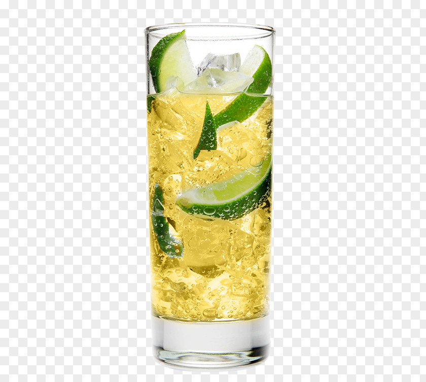 Mojito Rickey Highball Lemonade Vodka Tonic PNG