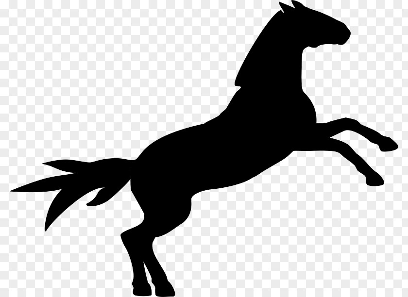 Small Animals Horse Clip Art PNG