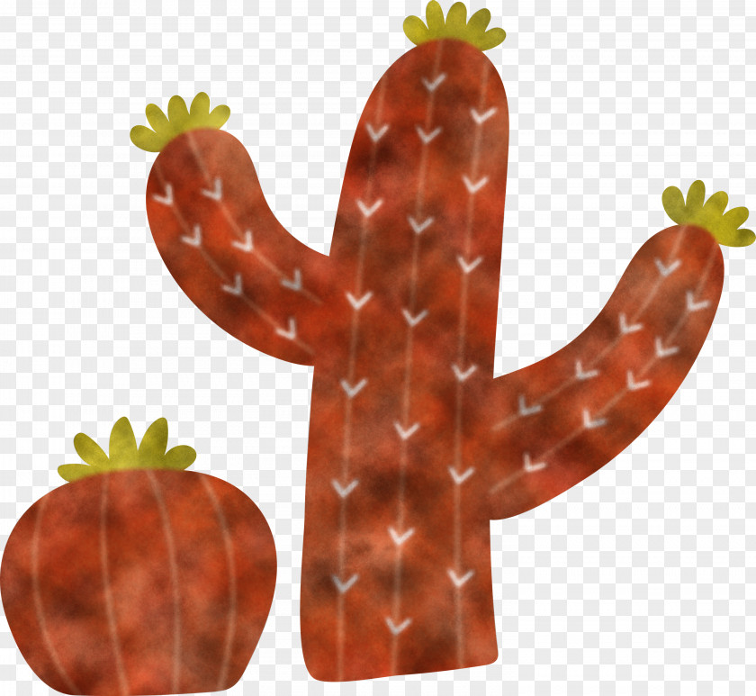 Mexico Elements PNG