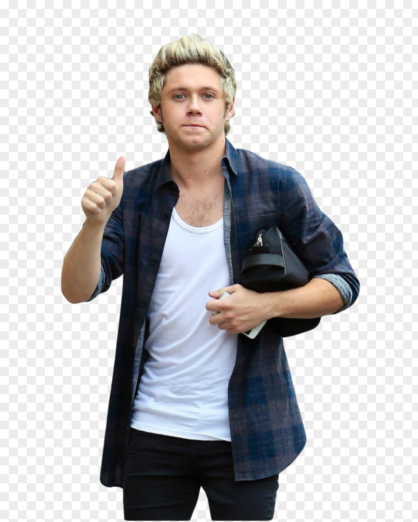 One Direction Niall Horan Night Changes Drag Me Down PNG