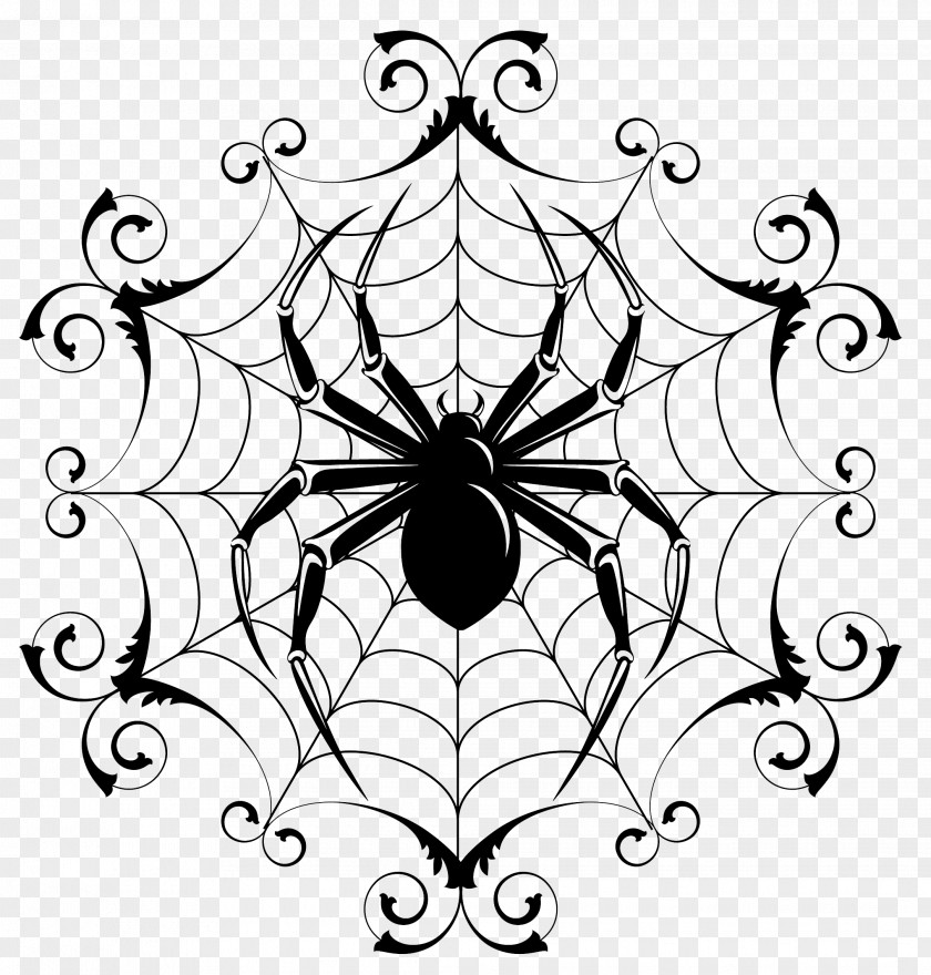 Spider Drawing Line Art PNG