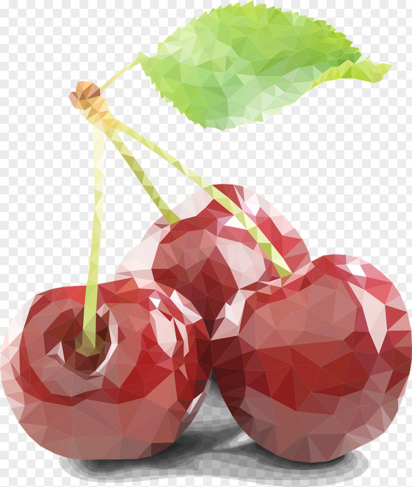 Berries Cherries Vector Graphics Clip Art Image PNG