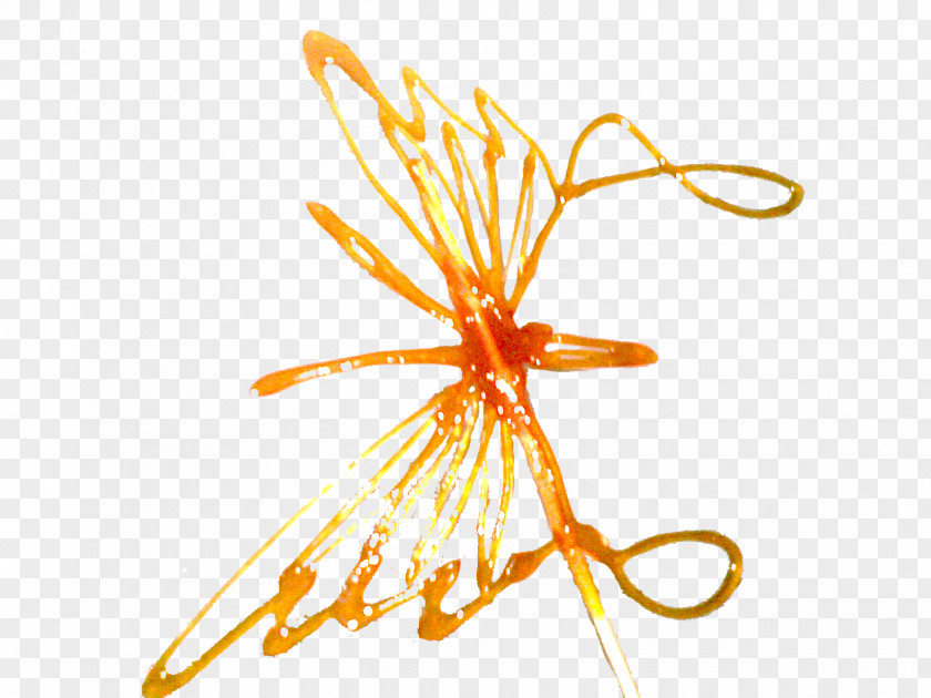 Caramel Butterfly Clip Art PNG