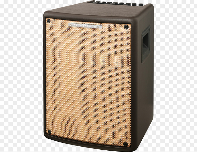 Guitar Amplifier Ibanez Tube Screamer Troubadour T30II Electric PNG