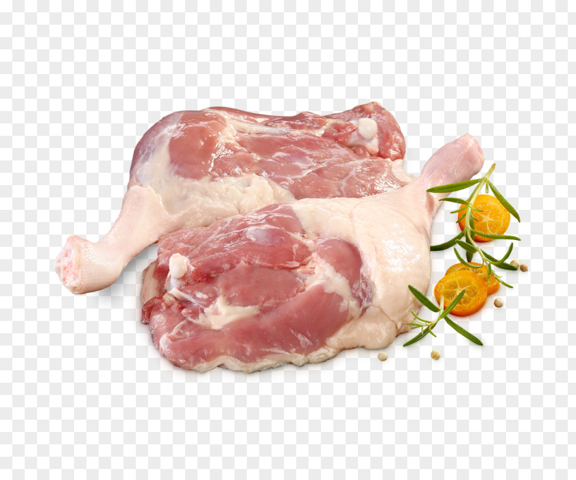 Ham Bayonne Prosciutto Capocollo Back Bacon PNG