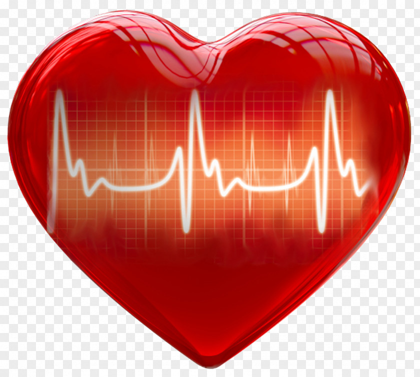 Healthy 3D Computer Graphics Heart Clip Art PNG